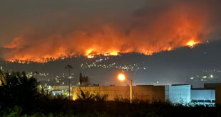 Polícia Judiciária detém suspeito de incêndio florestal em Santo Tirso